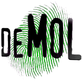 Wie is de Mol | Arrangement